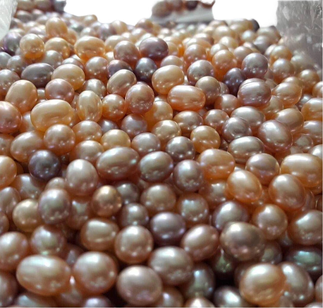 Rice Pearl, Freshwater - TKT